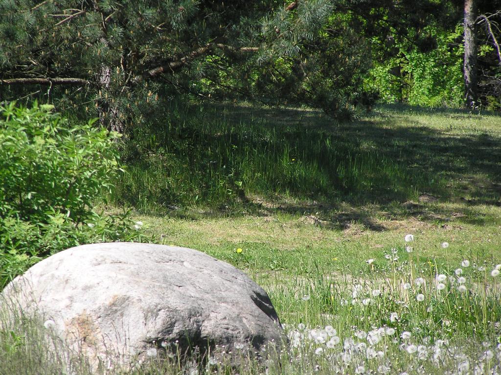 Wymój Park Stawiguda Exterior foto